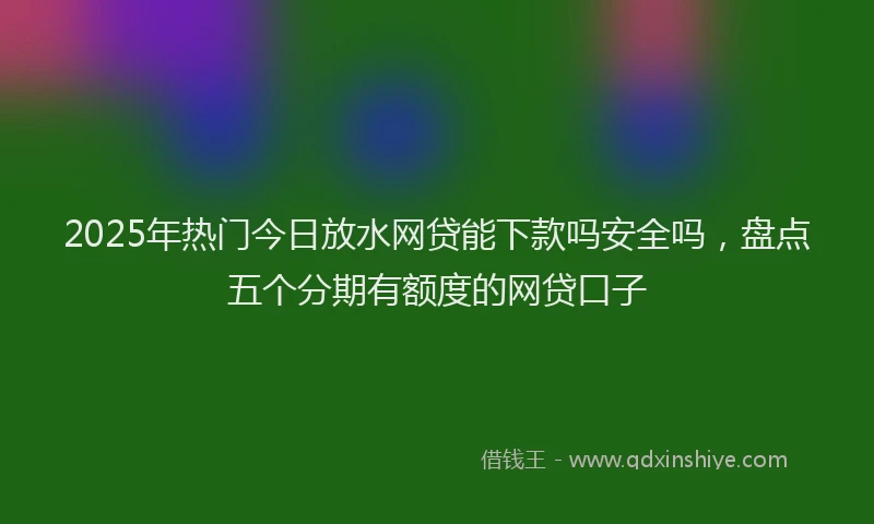 2025年热门今日放水网贷能下款吗安全吗，盘点五个分期有额度的网贷口子