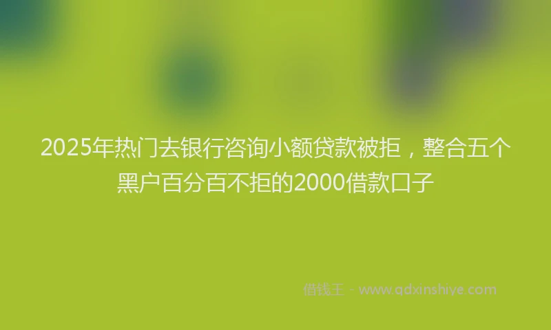 2025年热门去银行咨询小额贷款被拒，整合五个黑户百分百不拒的2000借款口子