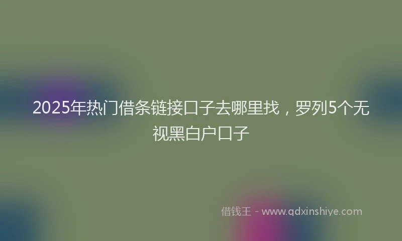 2025年热门借条链接口子去哪里找，罗列5个无视黑白户口子