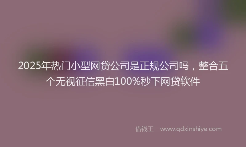 2025年热门小型网贷公司是正规公司吗，整合五个无视征信黑白100%秒下网贷软件