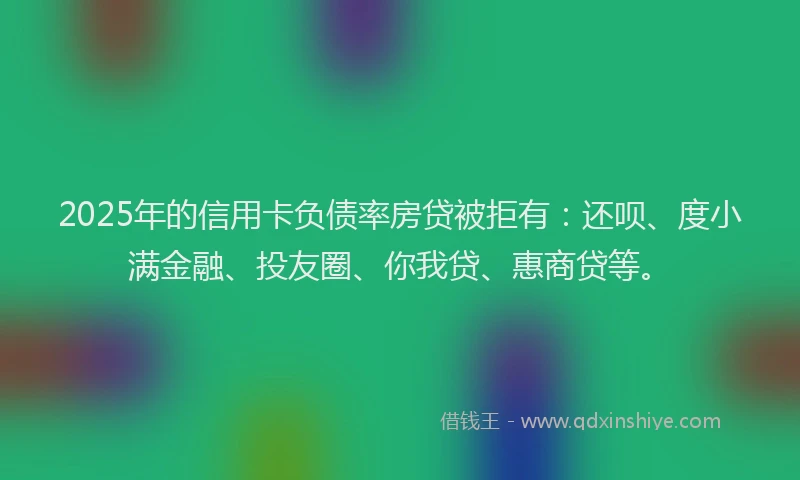 2025年的信用卡负债率房贷被拒有：还呗、度小满金融、投友圈、你我贷、惠商贷等。