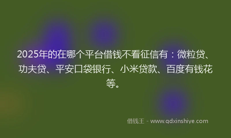 2025年的在哪个平台借钱不看征信有：微粒贷、功夫贷、平安口袋银行、小米贷款、百度有钱花等。