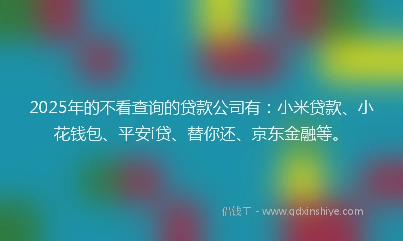2025年的不看查询的贷款公司有：小米贷款、小花钱包、平安i贷、替你还、京东金融等。