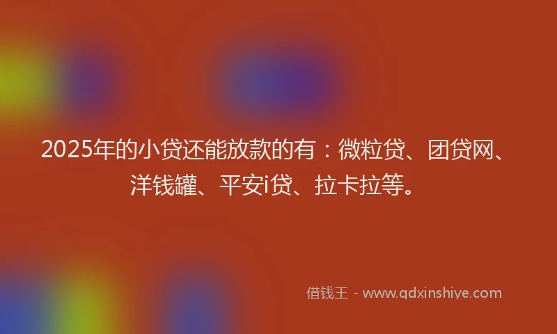 2025年的小贷还能放款的有：微粒贷、团贷网、洋钱罐、平安i贷、拉卡拉等。