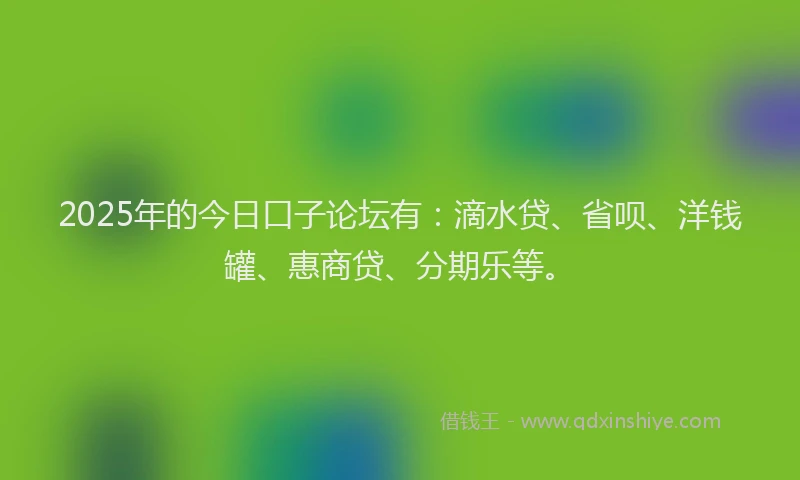 2025年的今日口子论坛有：滴水贷、省呗、洋钱罐、惠商贷、分期乐等。