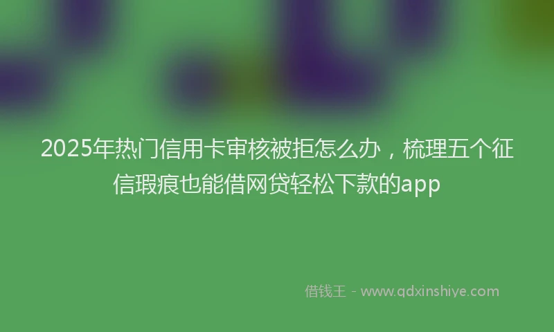 2025年热门信用卡审核被拒怎么办，梳理五个征信瑕疵也能借网贷轻松下款的app