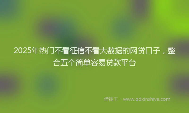 2025年热门不看征信不看大数据的网贷口子，整合五个简单容易贷款平台