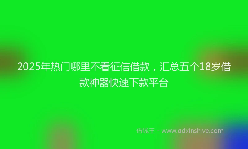 2025年热门哪里不看征信借款，汇总五个18岁借款神器快速下款平台