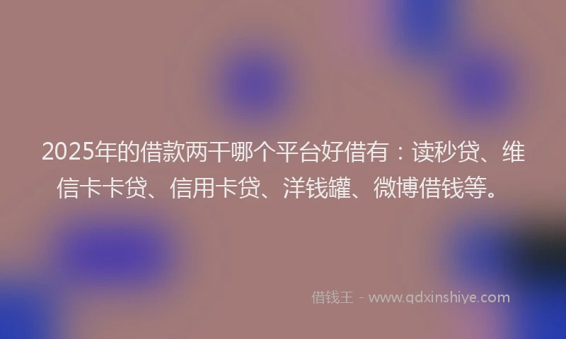 2025年的借款两干哪个平台好借有：读秒贷、维信卡卡贷、信用卡贷、洋钱罐、微博借钱等。