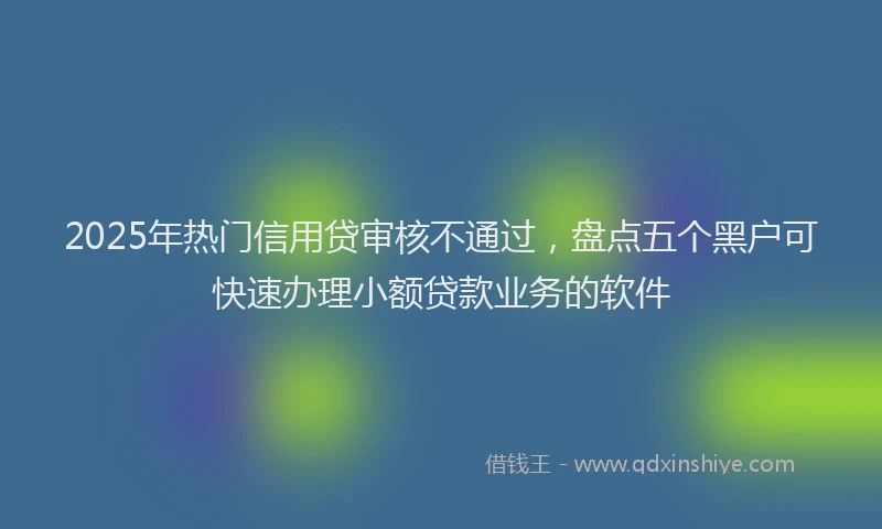 2025年热门信用贷审核不通过，盘点五个黑户可快速办理小额贷款业务的软件