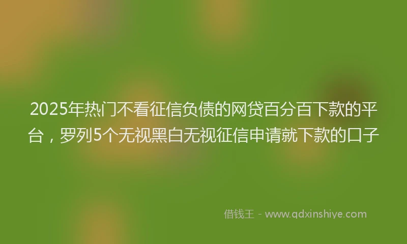 2025年热门不看征信负债的网贷百分百下款的平台，罗列5个无视黑白无视征信申请就下款的口子
