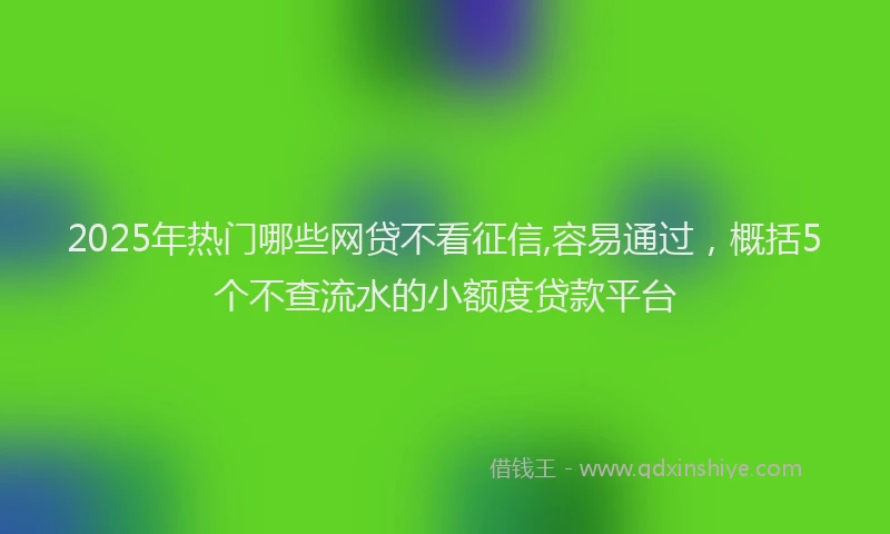 2025年热门哪些网贷不看征信,容易通过，概括5个不查流水的小额度贷款平台
