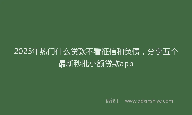 2025年热门什么贷款不看征信和负债，分享五个最新秒批小额贷款app