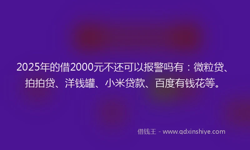 2025年的借2000元不还可以报警吗有：微粒贷、拍拍贷、洋钱罐、小米贷款、百度有钱花等。
