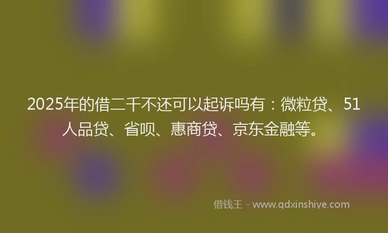 2025年的借二千不还可以起诉吗有：微粒贷、51人品贷、省呗、惠商贷、京东金融等。