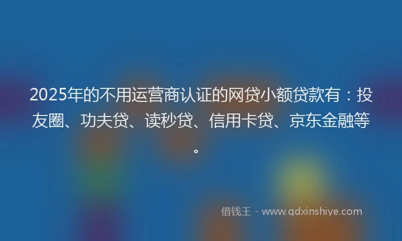 2025年的不用运营商认证的网贷小额贷款有：投友圈、功夫贷、读秒贷、信用卡贷、京东金融等。