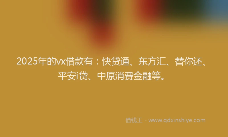 2025年的vx借款有：快贷通、东方汇、替你还、平安i贷、中原消费金融等。