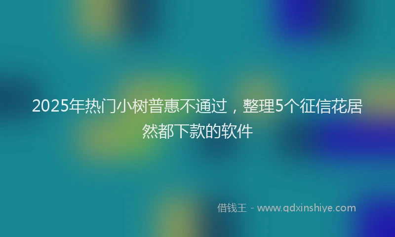2025年热门小树普惠不通过,整理5个征信花居然都下款的软件