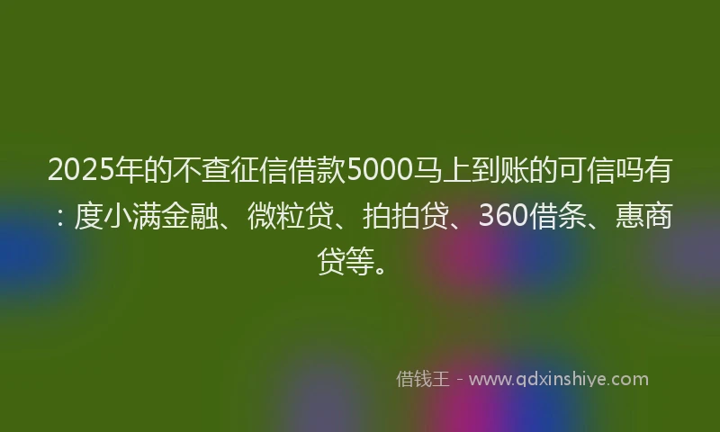 2025年的不查征信借款5000马上到账的可信吗有：度小满金融、微粒贷、拍拍贷、360借条、惠商贷等。