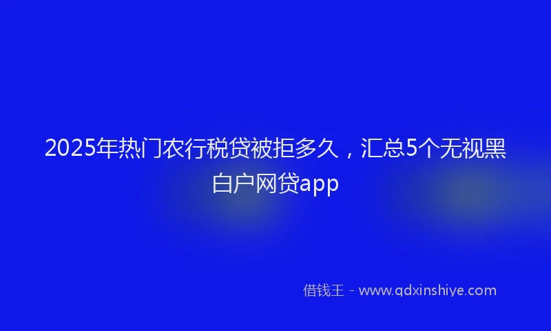 2025年热门农行税贷被拒多久，汇总5个无视黑白户网贷app