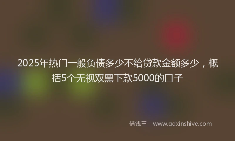 2025年热门一般负债多少不给贷款金额多少，概括5个无视双黑下款5000的口子