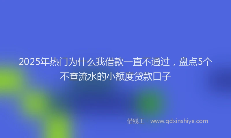 2025年热门为什么我借款一直不通过，盘点5个不查流水的小额度贷款口子