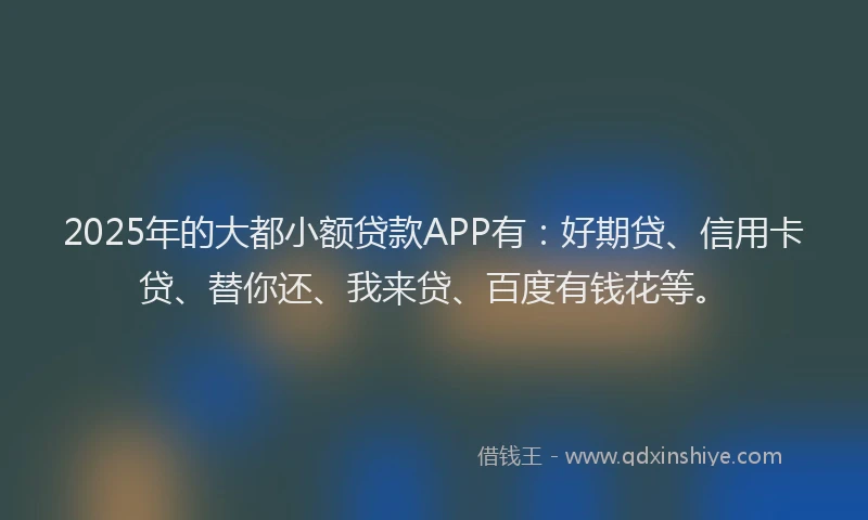 2025年的大都小额贷款APP有：好期贷、信用卡贷、替你还、我来贷、百度有钱花等。