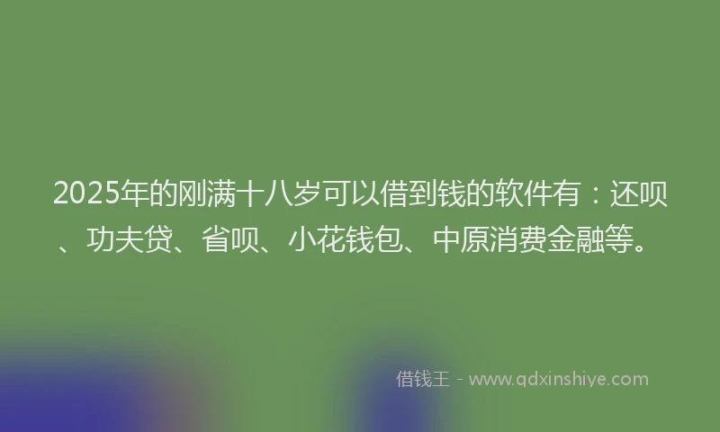 2025年的刚满十八岁可以借到钱的软件有：还呗、功夫贷、省呗、小花钱包、中原消费金融等。