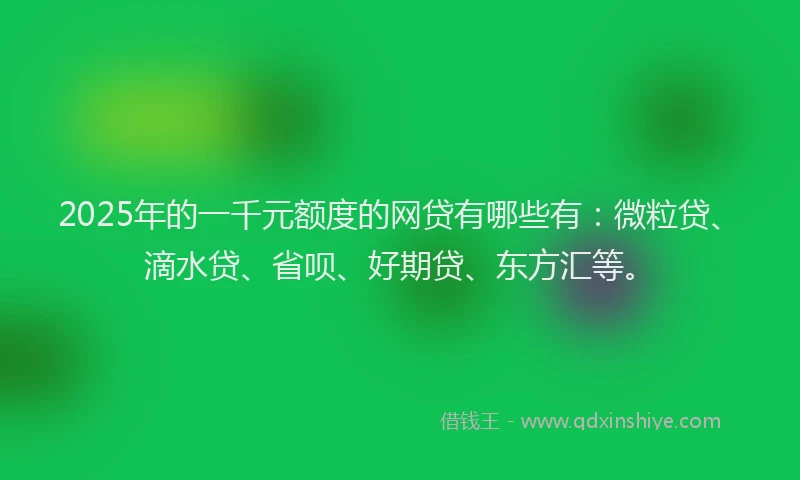 2025年的一千元额度的网贷有哪些有：微粒贷、滴水贷、省呗、好期贷、东方汇等。