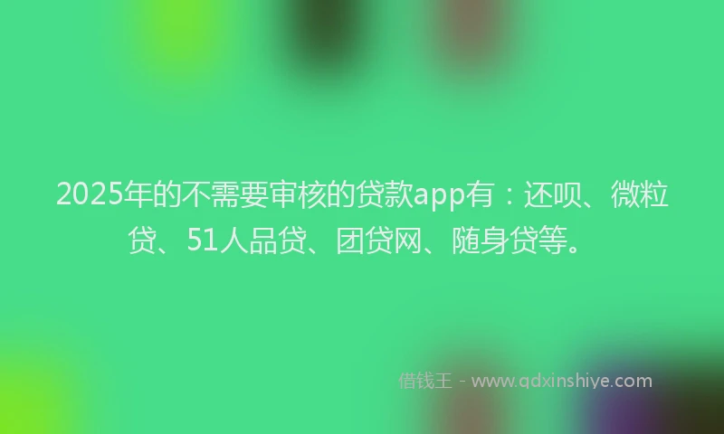2025年的不需要审核的贷款app有：还呗、微粒贷、51人品贷、团贷网、随身贷等。