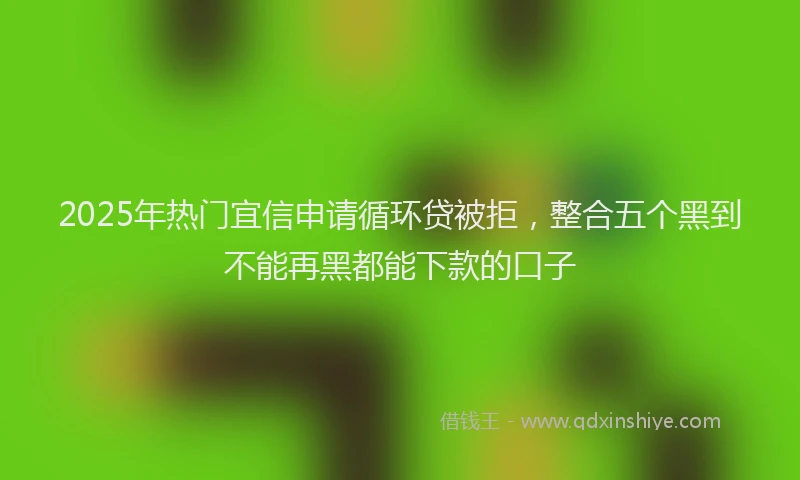 2025年热门宜信申请循环贷被拒，整合五个黑到不能再黑都能下款的口子