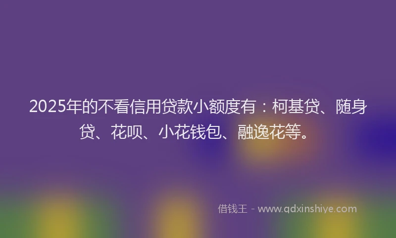 2025年的不看信用贷款小额度有：柯基贷、随身贷、花呗、小花钱包、融逸花等。