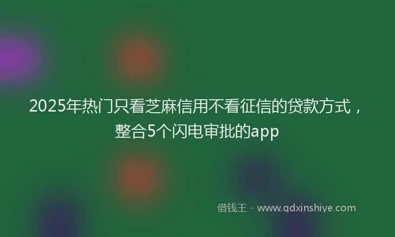 2025年热门只看芝麻信用不看征信的贷款方式，整合5个闪电审批的app
