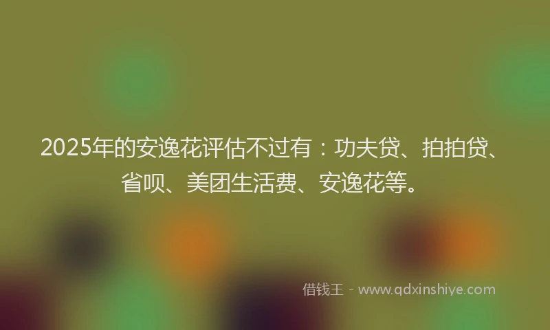 2025年的安逸花评估不过有：功夫贷、拍拍贷、省呗、美团生活费、安逸花等。