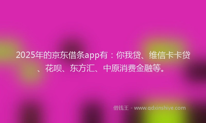 2025年的京东借条app有：你我贷、维信卡卡贷、花呗、东方汇、中原消费金融等。