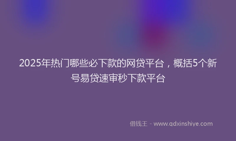 2025年热门哪些必下款的网贷平台，概括5个新号易贷速审秒下款平台