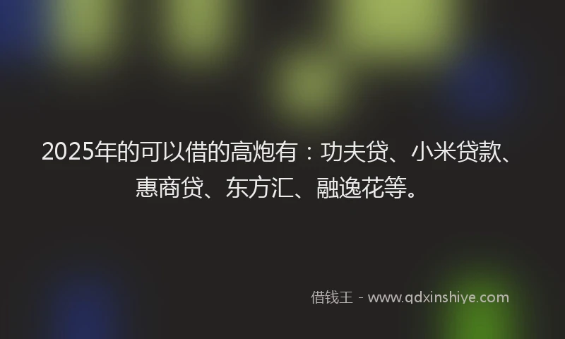 2025年的可以借的高炮有：功夫贷、小米贷款、惠商贷、东方汇、融逸花等。