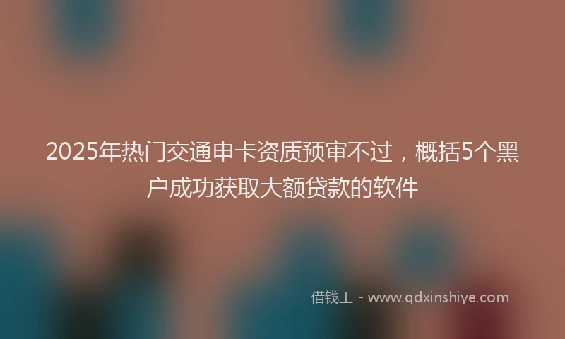 2025年热门交通申卡资质预审不过，概括5个黑户成功获取大额贷款的软件
