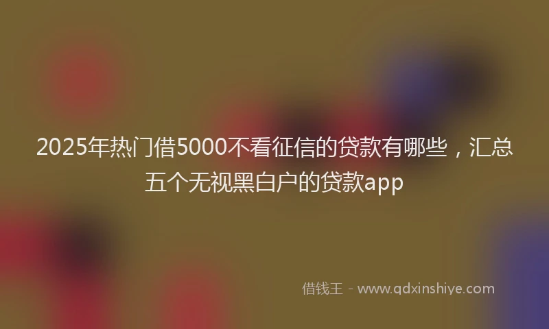 2025年热门借5000不看征信的贷款有哪些，汇总五个无视黑白户的贷款app