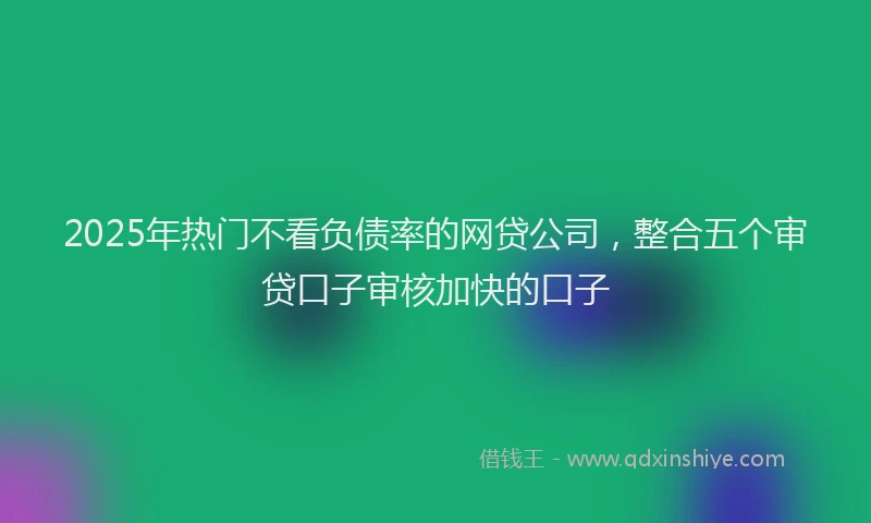 2025年热门不看负债率的网贷公司，整合五个审贷口子审核加快的口子