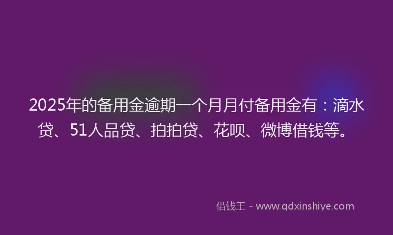 2025年的备用金逾期一个月月付备用金有：滴水贷、51人品贷、拍拍贷、花呗、微博借钱等。
