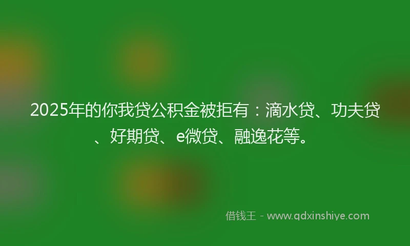 2025年的你我贷公积金被拒有：滴水贷、功夫贷、好期贷、e微贷、融逸花等。