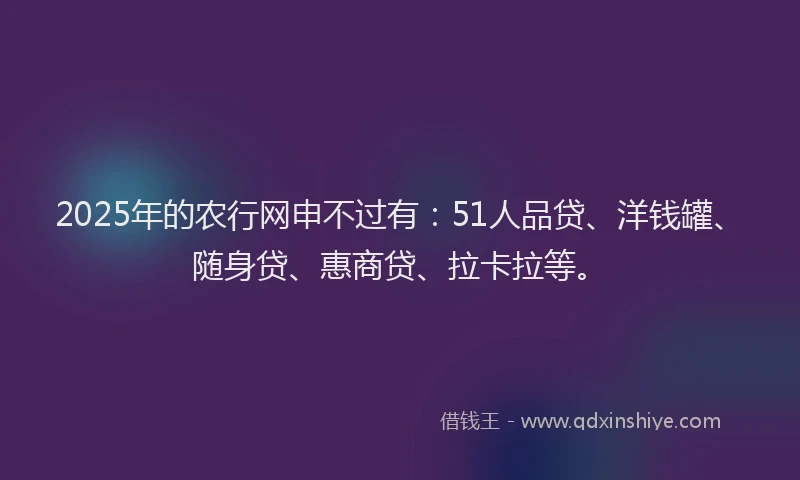 2025年的农行网申不过有：51人品贷、洋钱罐、随身贷、惠商贷、拉卡拉等。