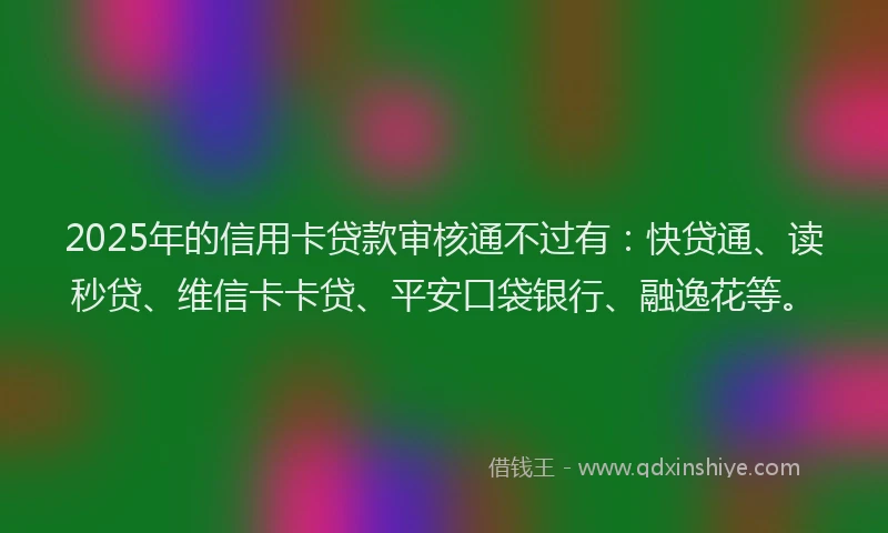 2025年的信用卡贷款审核通不过有：快贷通、读秒贷、维信卡卡贷、平安口袋银行、融逸花等。