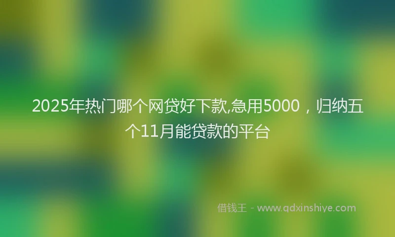 2025年热门哪个网贷好下款,急用5000，归纳五个11月能贷款的平台