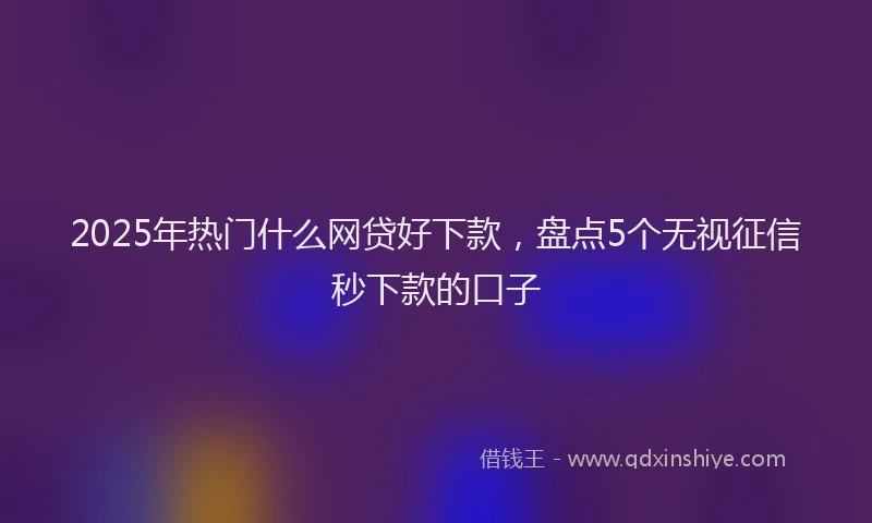 2025年热门什么网贷好下款，盘点5个无视征信秒下款的口子
