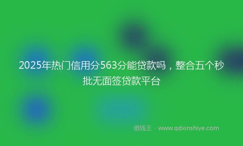 2025年热门信用分563分能贷款吗，整合五个秒批无面签贷款平台