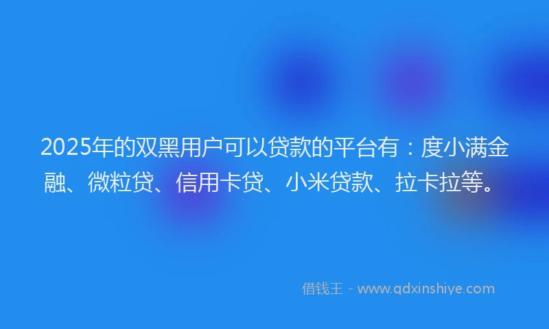 2025年的双黑用户可以贷款的平台有：度小满金融、微粒贷、信用卡贷、小米贷款、拉卡拉等。
