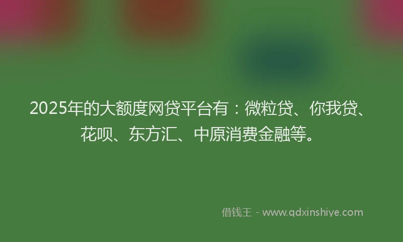 2025年的大额度网贷平台有：微粒贷、你我贷、花呗、东方汇、中原消费金融等。