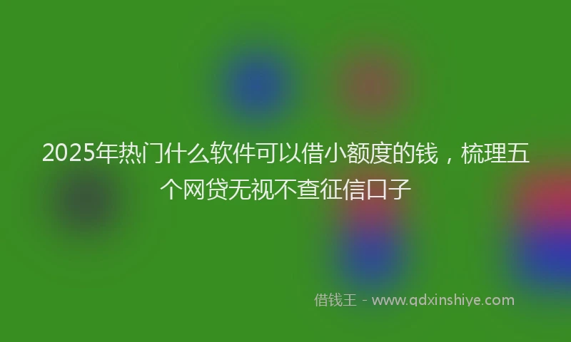 2025年热门什么软件可以借小额度的钱，梳理五个网贷无视不查征信口子